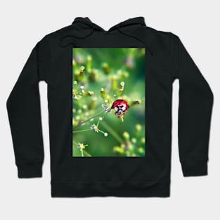 Ladybug on green Hoodie